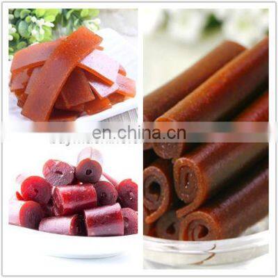 Hot Sale Fruit Leather Production Line From Manufacturer photo-5
