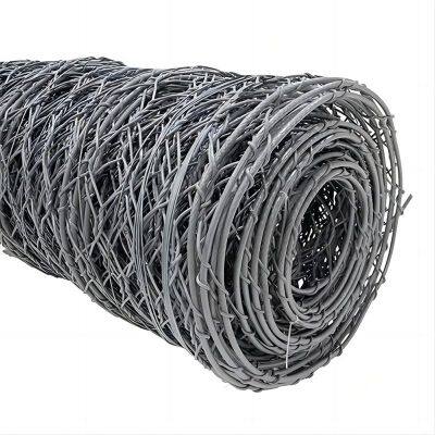 Double Twisted Hexagonal Mesh Slope Protection Net Stone Falling Protective Netting Price for Rockfall protection