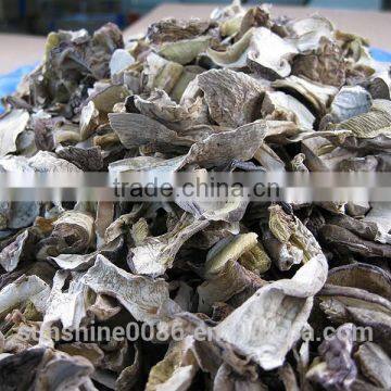 Edulis Porcini Mushrooms Grade AAA Boletes From Yunnan Sunshine Trading Co.,Ltd photo-5