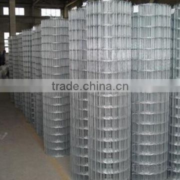 hot dipped galvanized welded wire mesh