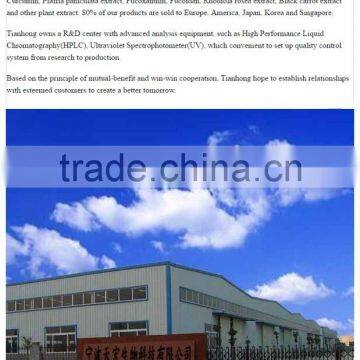Brazil Panax Ginseng Extract Powder With High Quality photo-2
