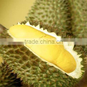 VIETNAM FRESH DURIAN