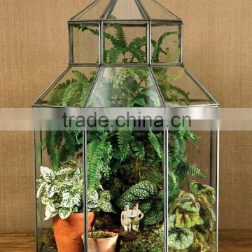 Glass Boxes, Glass display case, brass, glass box, terrarium