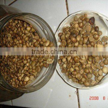 Cheap Famous Indonesian Robusta Coffee bean