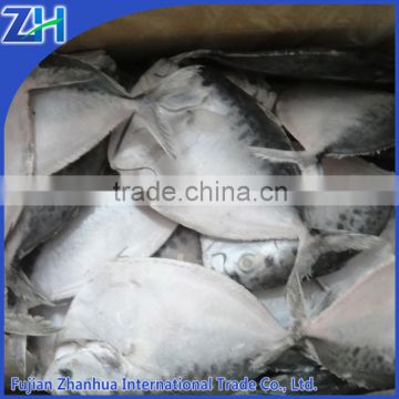 Hot sale frozen moonfish pomfret