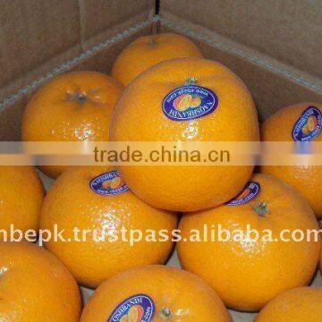 Mandarin "Kinnow" Orange, Citrus fruit from Pakistan