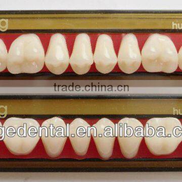 4 Layers Acrylic Teeth KAIJING T5 photo-2