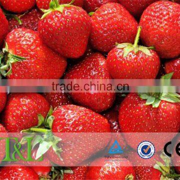 3D fresh fruit photo wallpaper mural