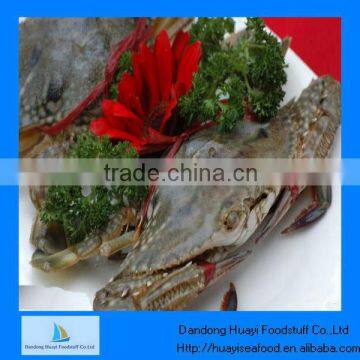 frozen blue swimming sea crab