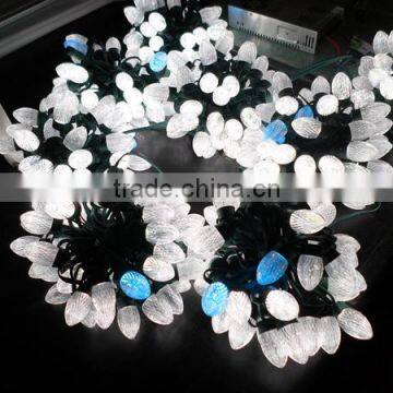 Factory direct sale led christmas lights