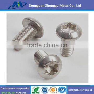 Dongguan Fastener ManufactureTorx Pan Head Screw China (Mainland)