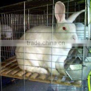 low prices portable commercial rabbit cage