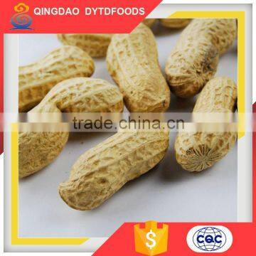 Popular Snack Health Food Roasted Peanuts Wholesale Peanuts Roasted Peanut With Shell