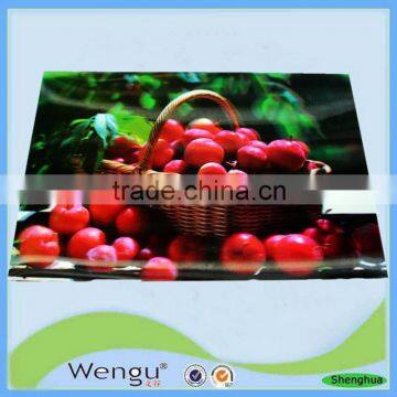 Customed printed pp table mat/plastic table mat/ /pp tablemat supplier and manufacture