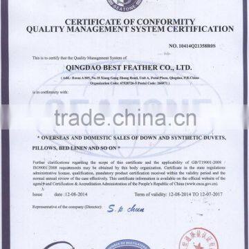 Natural Healthy Buckwheat Hull Pillow photo-2