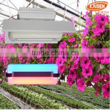 300w New Product Jiangsu Red Blue Color Full Spectrum Plant Light