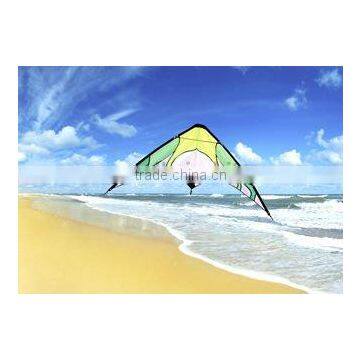 Dual Line Delta Stunt Kites - Curved Edge Kites