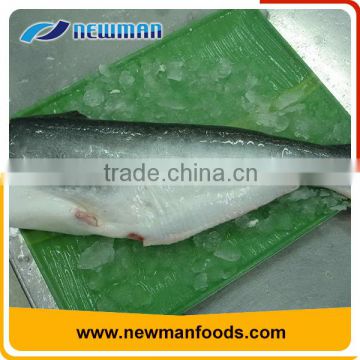 Vacuum packaging boneless and skinless frozen pangasius cheap frozen pangasius fillet price