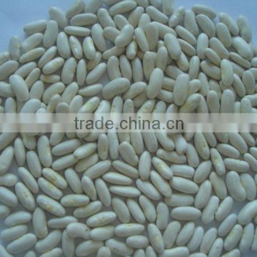 2014 Chinese white kidney bean Japanese Type, Baishake Type, different Types