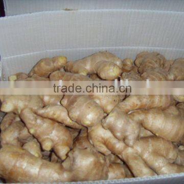 CHINESE air dried Ginger