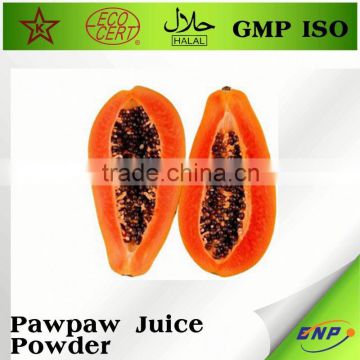 BNP supplier natural condensed pawpaw powder