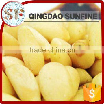 High quality organic pine nuts