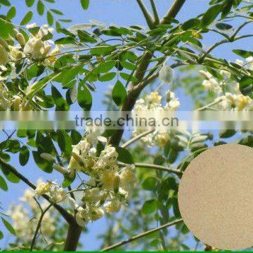 GMP Certified Manufacturer Supply Natural Moringa Powder