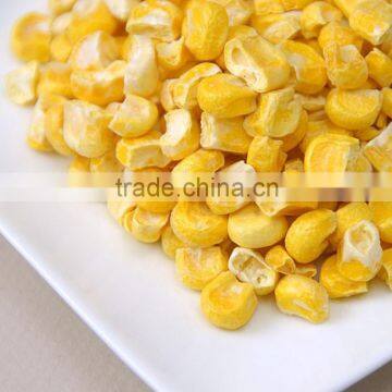 Hot Saled Dried Food FD Corn Powder