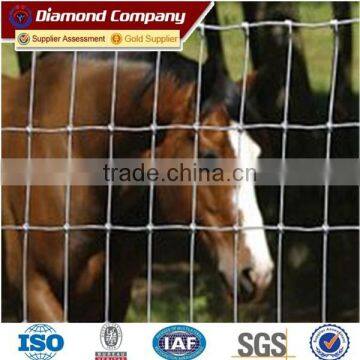 Metal Galvanized Deer Fence Mesh / Wire fence products