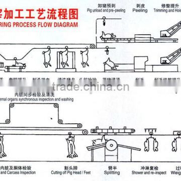 High Automatic Pig Slaughterhouse