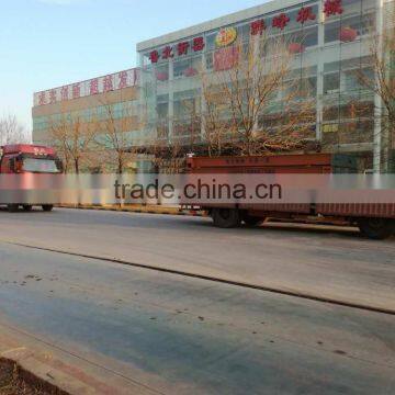 120 Ton 3x16m Truck Scale/ Digital Weighbridge 120t photo-5