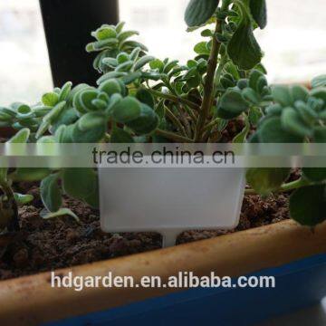 Hot Sale Colored Plastic Plant Marker Tag Wholesale photo-6