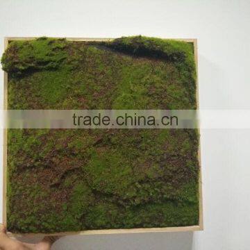 New Wall Frame With Artificial Plants photo-4