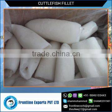 Certified Supplier of Frozen Cuttlefish Fillet