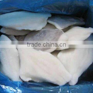 Frozen Moonfish Fillets photo-4