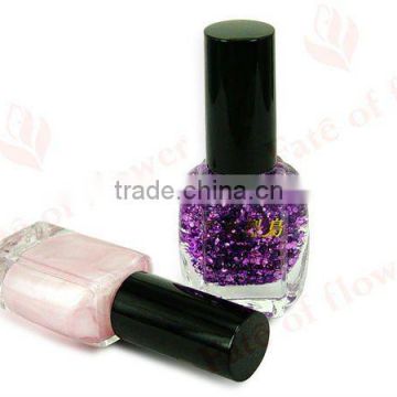 2012 Hot Sale MAGNETIC Nail Polish