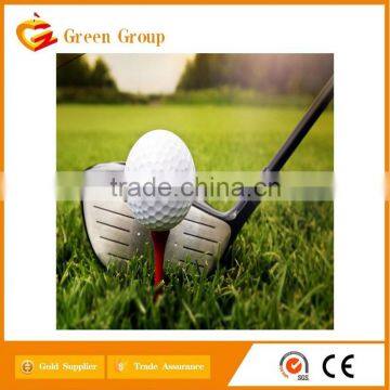 Wholesale Titanium Golf Driver Manufacturer high performance golf club for promotion