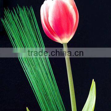 High Quality painted split bamboo for flowers