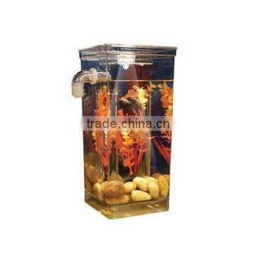 my Fun Fish Clean Tank With LED photo-3