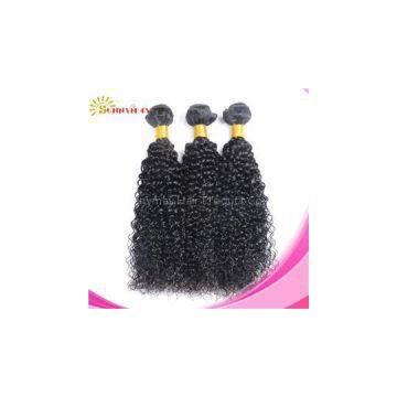 Free Shipping 100% Unprocessed 6A Brazilian Jerry Curly Hair Extensions 3pcs Jerry Curly Virgin Hair Weaves Sunnymay Hair #1b