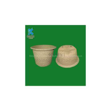 Biodegradable and Compostable Bagasse Flower Pots, Molded Fiber Nursery Pots
