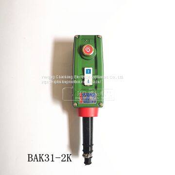 Electric Block Button Explosion-proof Handle Switch Explosion Control Button BAK21 BAK31 BAK41 photo-3