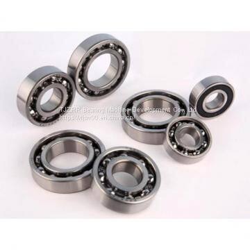 20206 Barrel Roller Bearings