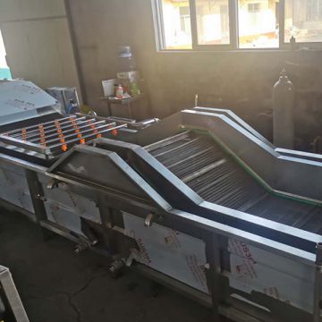 Fruit Washer Price Factory Price  Bubble Washing Machine