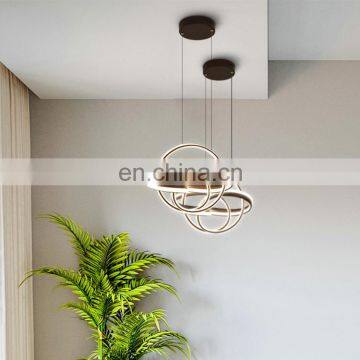 2020 Zhongshan Guzhen Irregular Shade Decoration Acrylic Ceiling Lamp for Indoor photo-3