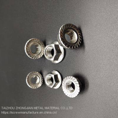 Stainless Steel Flange Nut M10