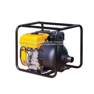 Hot Sale for Industrial and Agricultural Use Gasoline Chemical Pump photo-2