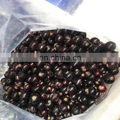 Sinocharm New Season BRC-A Approved Organic IQF Whole Black Currant photo-4