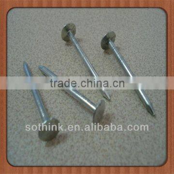 Hot dipped galv.flat head Roofing nails