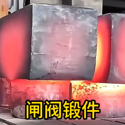 Gate Valve Forgings | Forged Components | Factory Customization